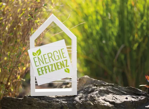 Energieeffizienz_Gebäude_Heizungssanierung